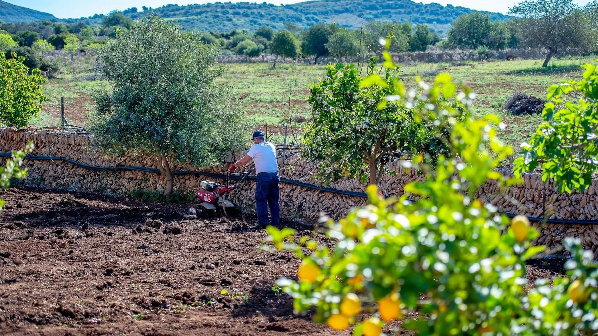 Country house Sos Ferres D'En Morey Manacor  Spain